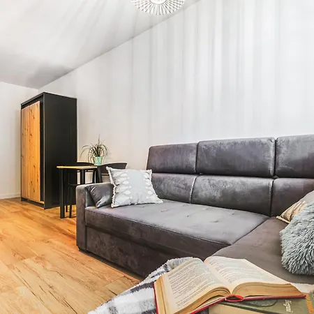 Klimatyczne Mieszkanie W Centrum Apartman *