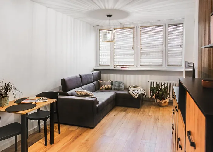 Klimatyczne Mieszkanie W Centrum