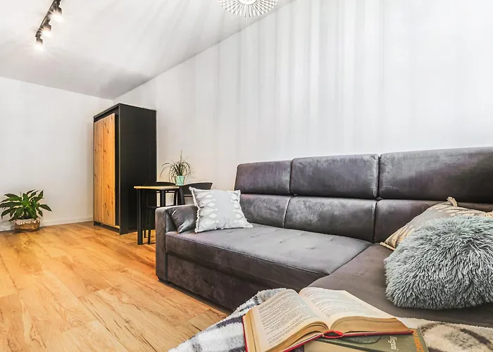 Klimatyczne Mieszkanie W Centrum Apartman *