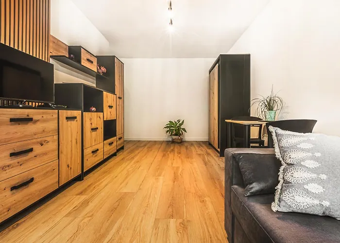 Klimatyczne Mieszkanie W Centrum Apartman